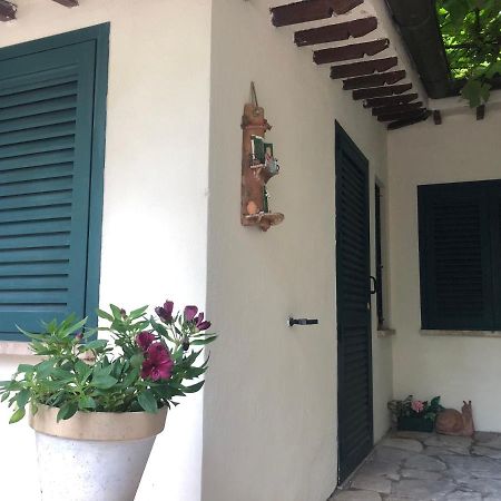 B&B Uva Fragola Perugia Eksteriør bilde