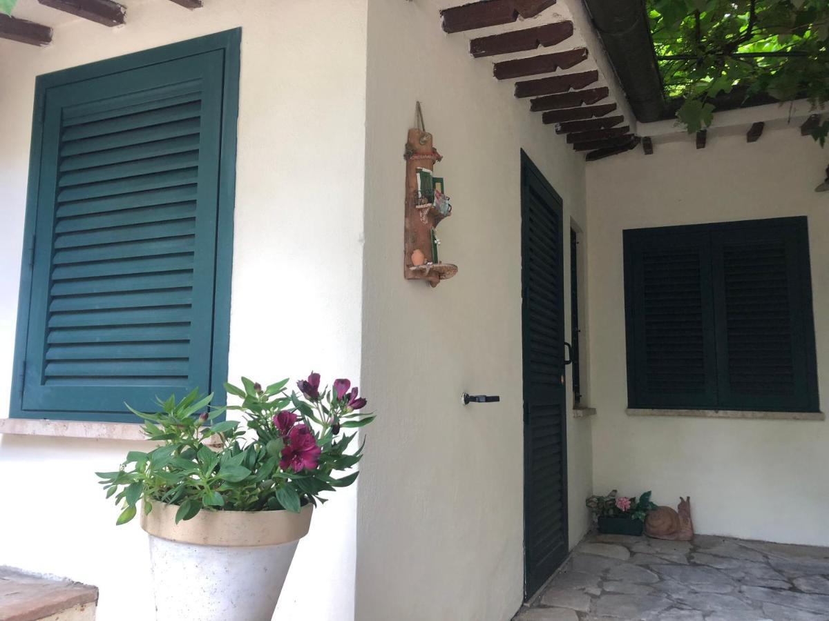 B&B Uva Fragola Perugia Eksteriør bilde