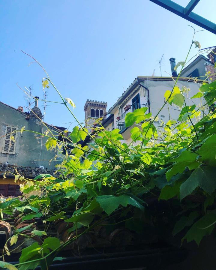 B&B Uva Fragola Perugia Eksteriør bilde